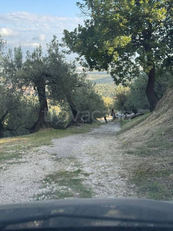 immagine annuncio 4 di 8