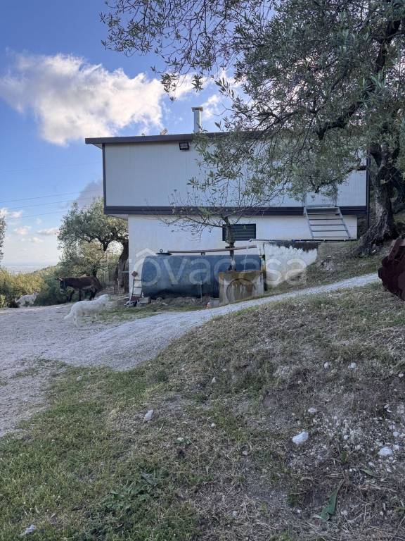 immagine annuncio 6 di 8