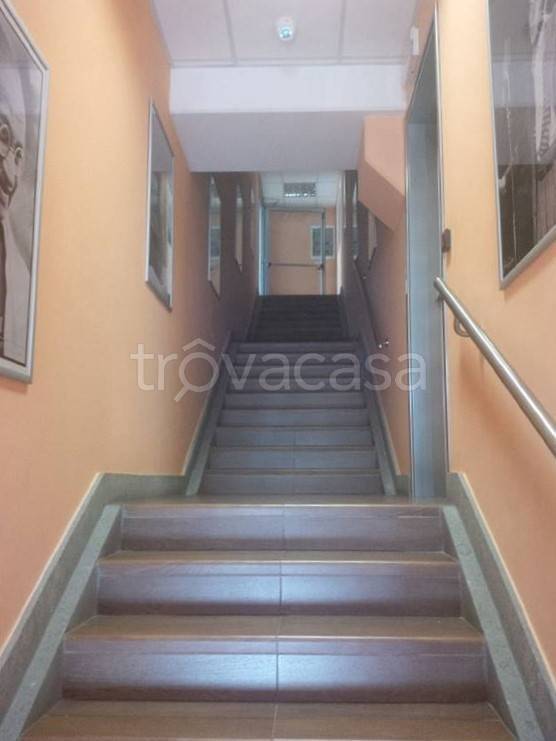 immagine annuncio 5 di 7