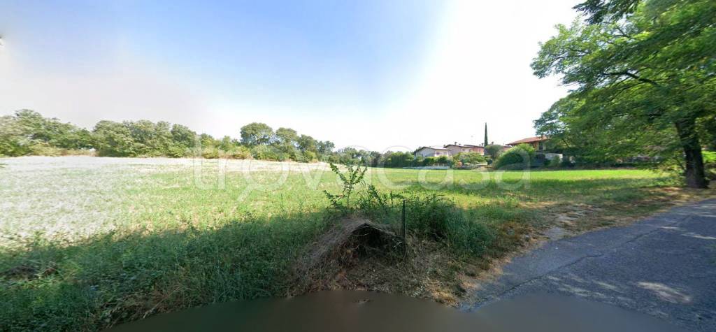 immagine annuncio 5 di 11