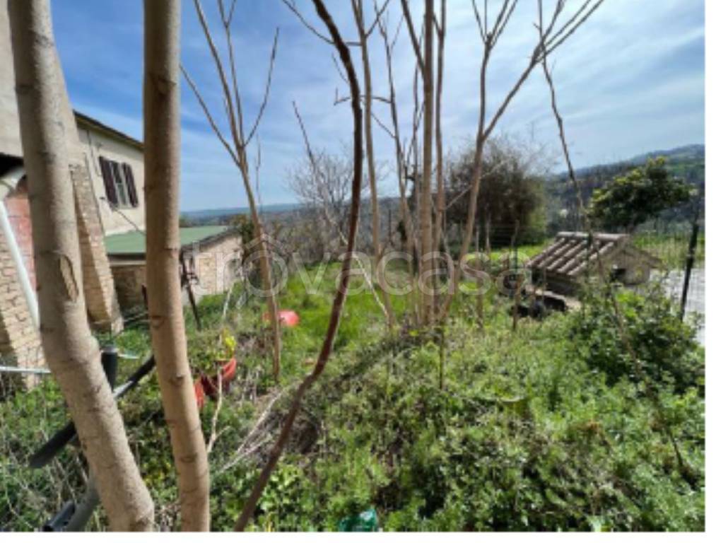 immagine annuncio 6 di 14