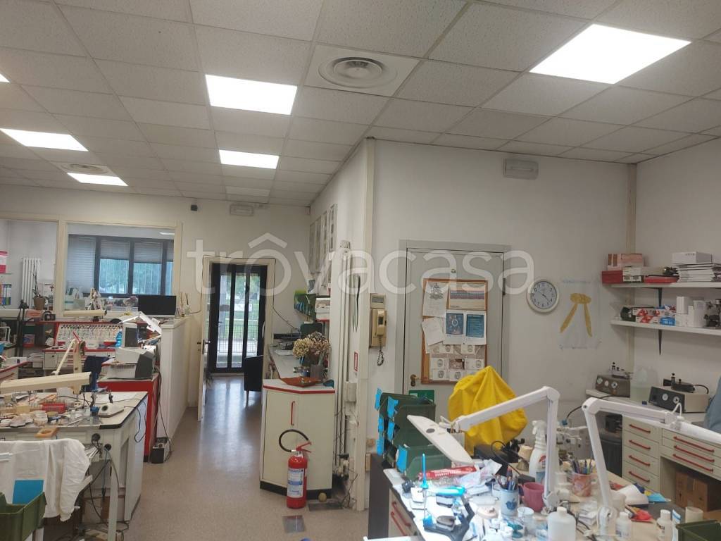 immagine annuncio 2 di 12
