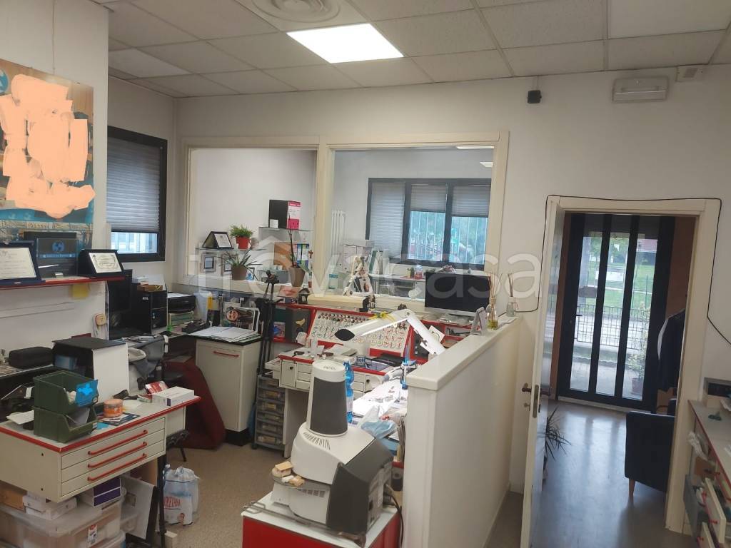 immagine annuncio 3 di 12