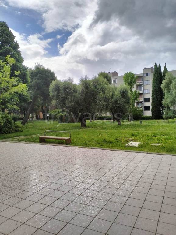 immagine annuncio 13 di 14