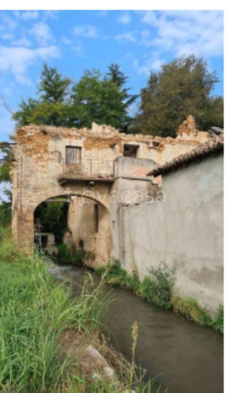 immagine annuncio 6 di 14