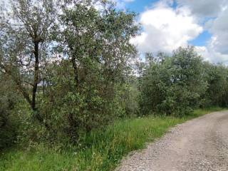 Terreno agricolo in vendita a scandicci via dell'arrigo