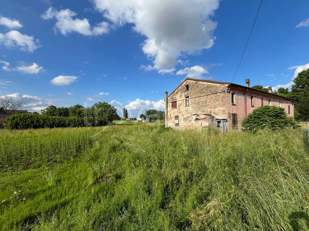 immagine annuncio 2 di 14
