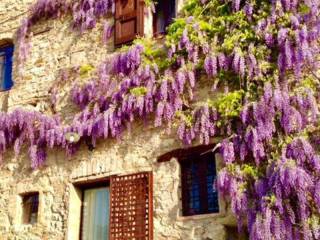 Casa indipendente in affitto a sassuolo 