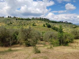Terreno agricolo in vendita a scandicci via dell'arrigo