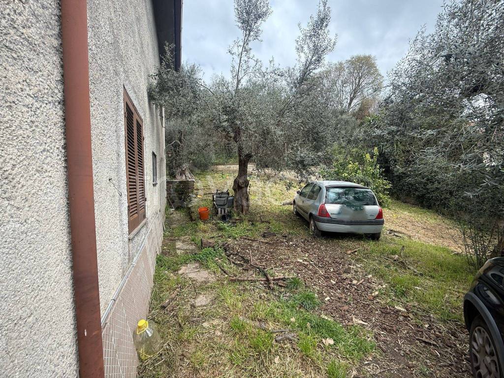 immagine annuncio 1 di 13