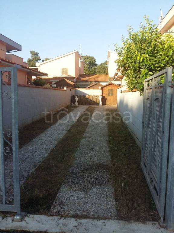 immagine annuncio 9 di 11