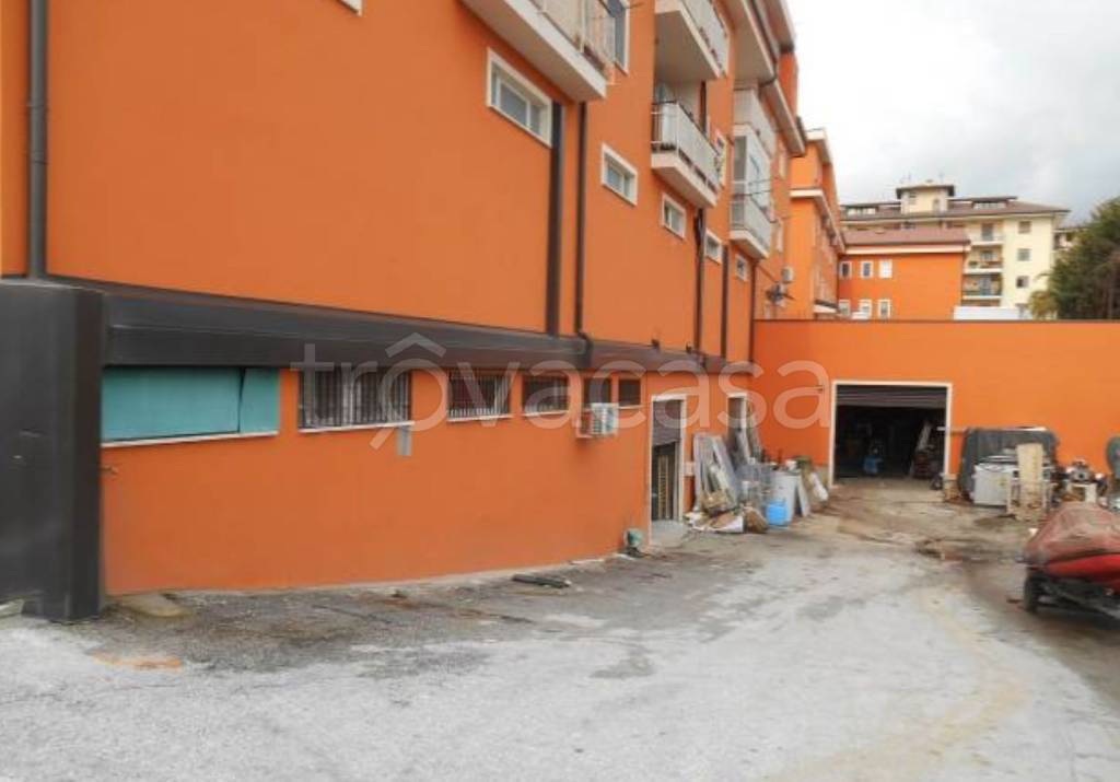 immagine annuncio 7 di 12