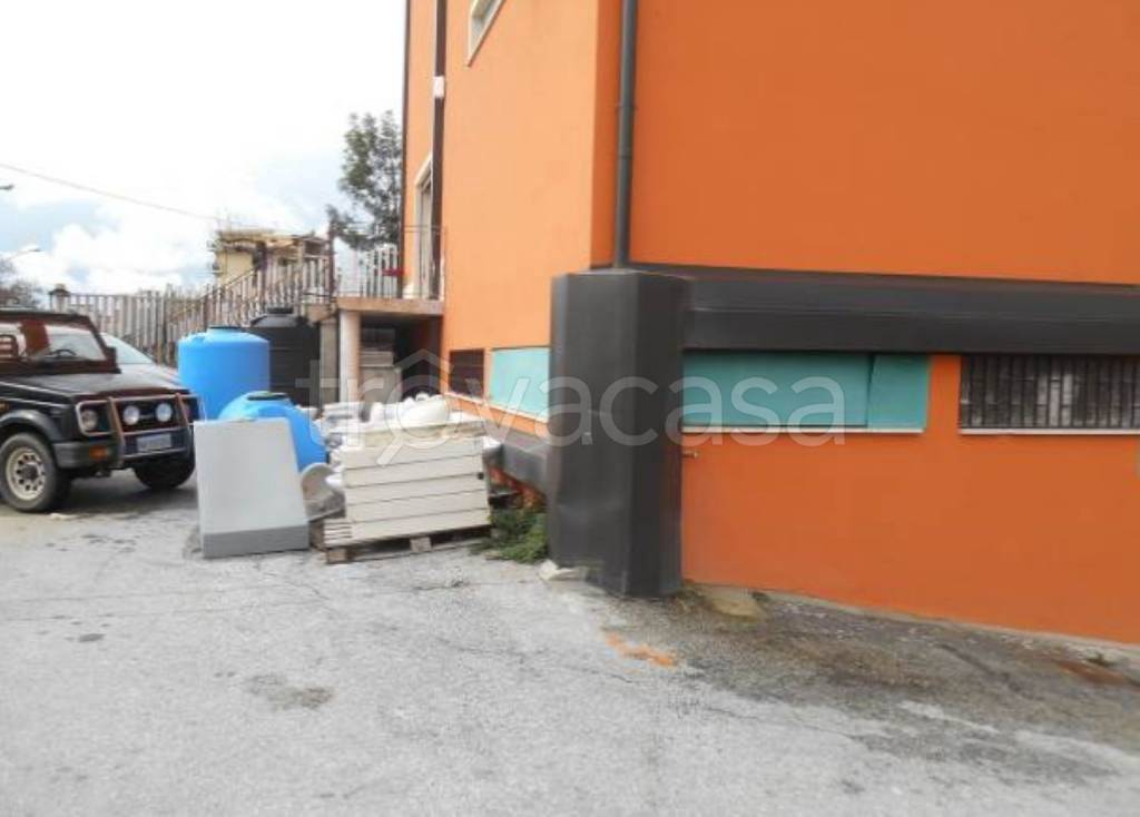 immagine annuncio 8 di 12