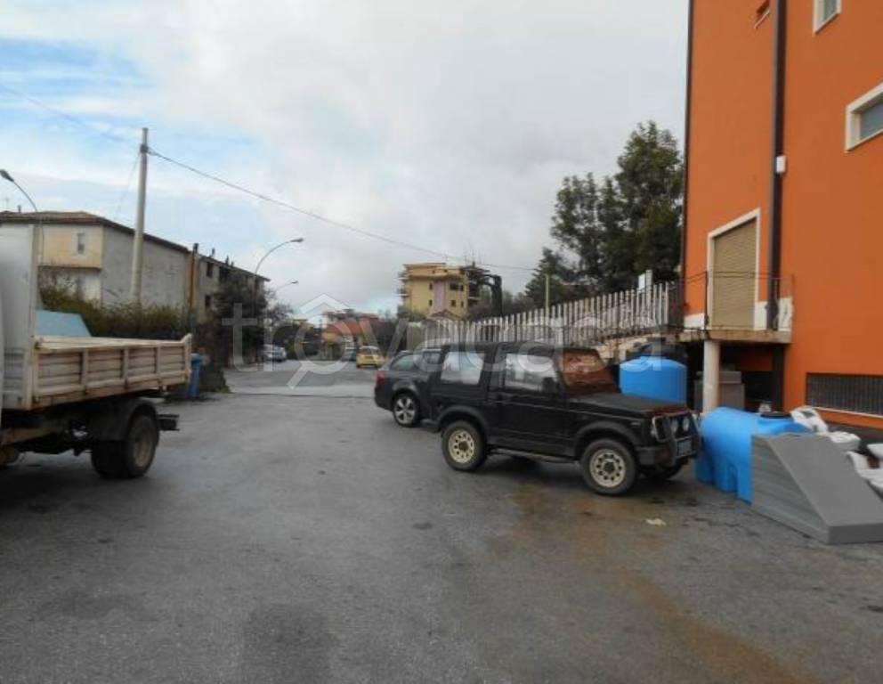 immagine annuncio 10 di 12