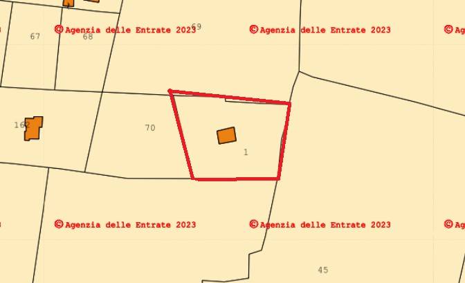 immagine annuncio 9 di 11