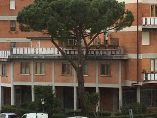 Hobby/tempo libero in in affitto da privato a prato via del cittadino