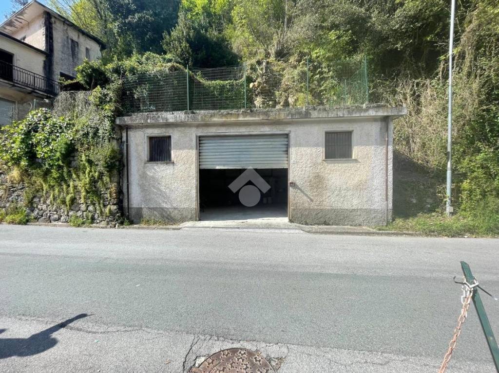 immagine annuncio 4 di 13