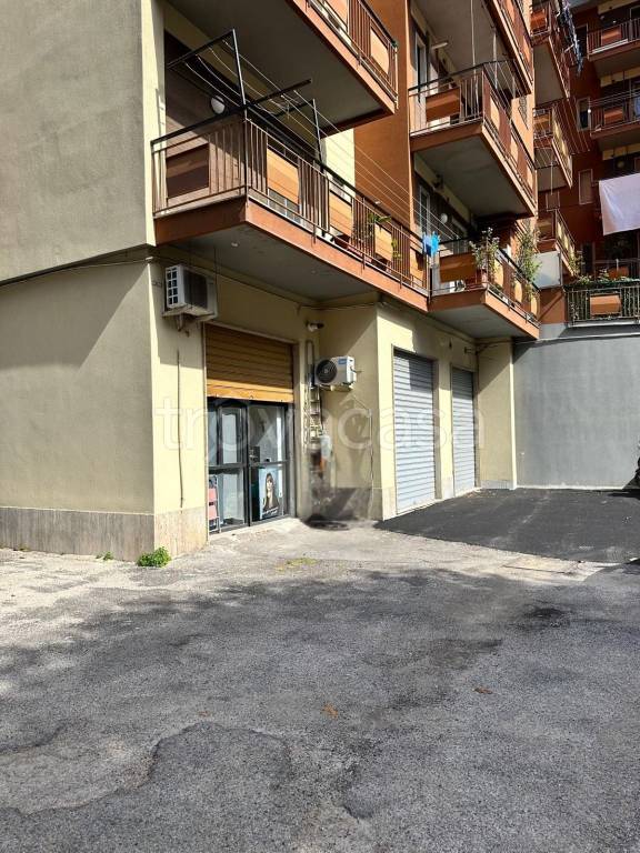 immagine annuncio 4 di 6
