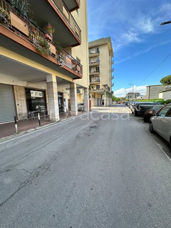 immagine annuncio 1 di 6