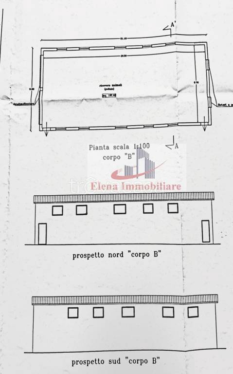 immagine annuncio 2 di 8