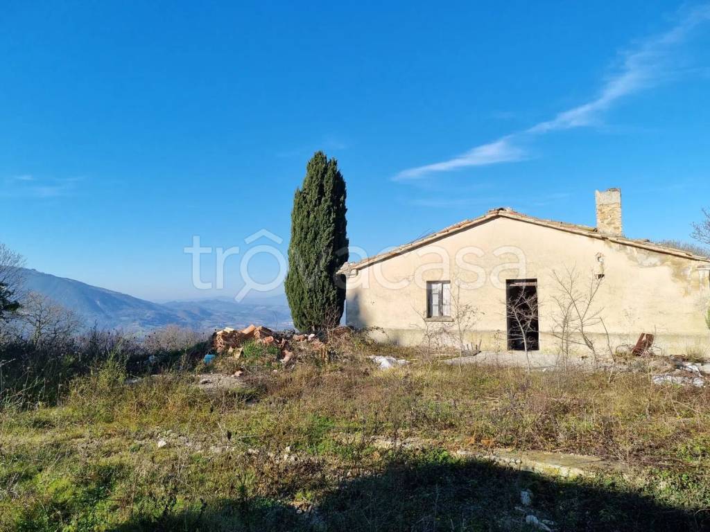 immagine annuncio 5 di 7