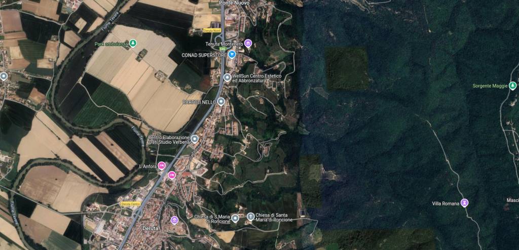 immagine annuncio 12 di 15