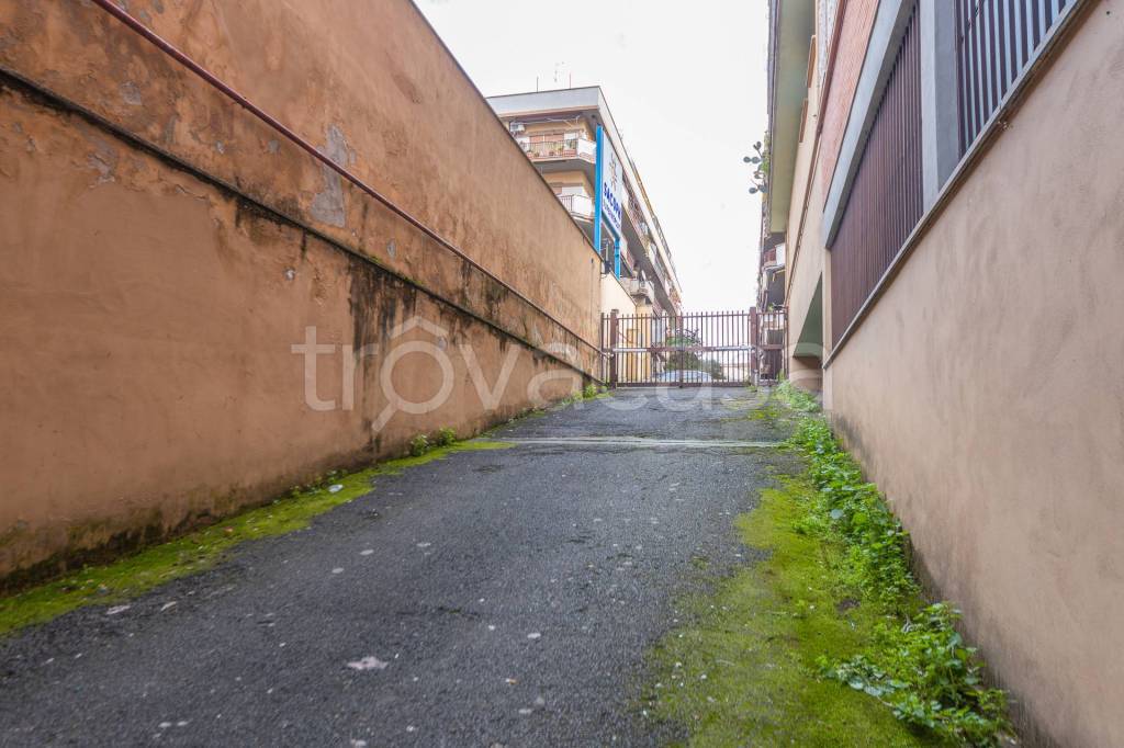 immagine annuncio 5 di 8