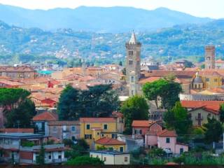 Appartamento in affitto a sarzana 