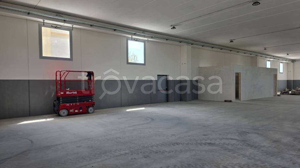 immagine annuncio 8 di 11