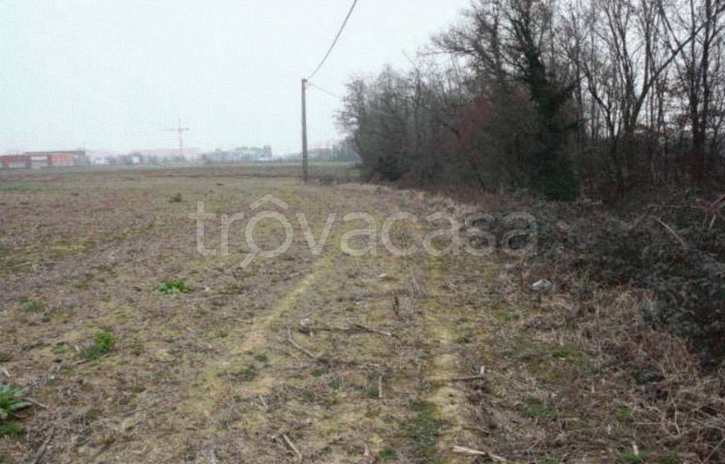 immagine annuncio 7 di 13