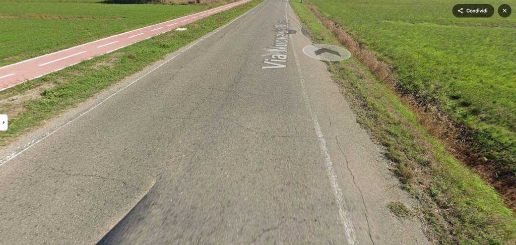 immagine annuncio 9 di 14