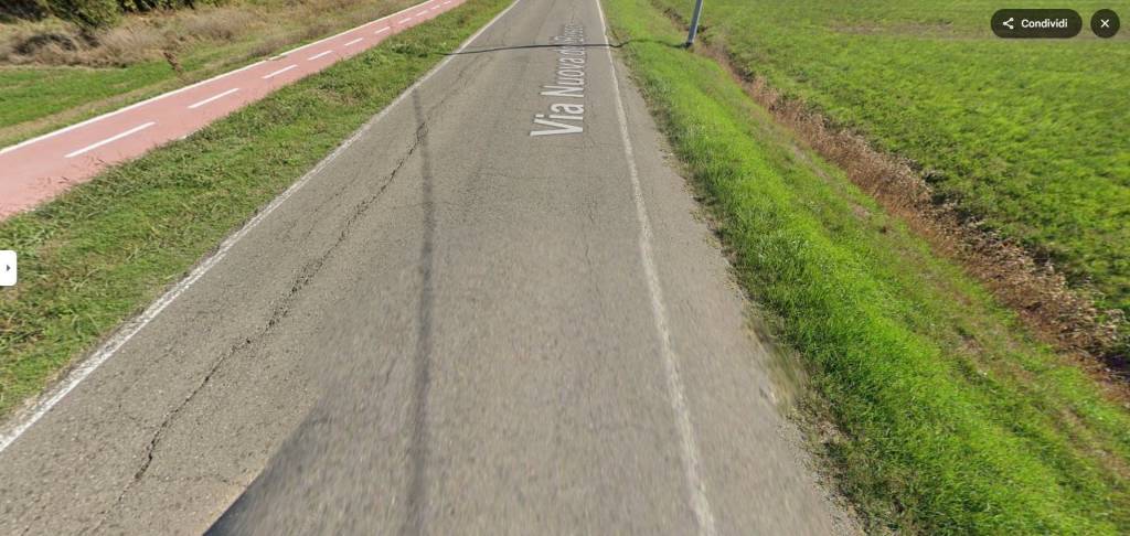 immagine annuncio 11 di 14