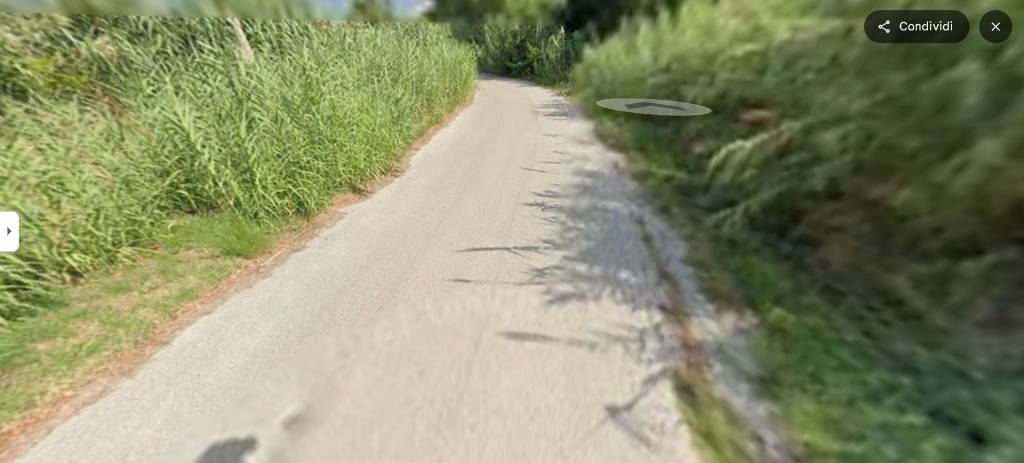 immagine annuncio 11 di 14