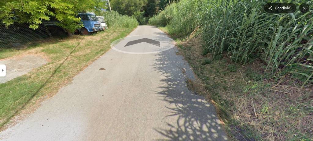 immagine annuncio 13 di 14