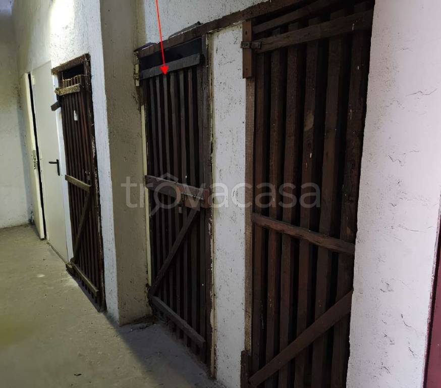 immagine annuncio 1 di 8