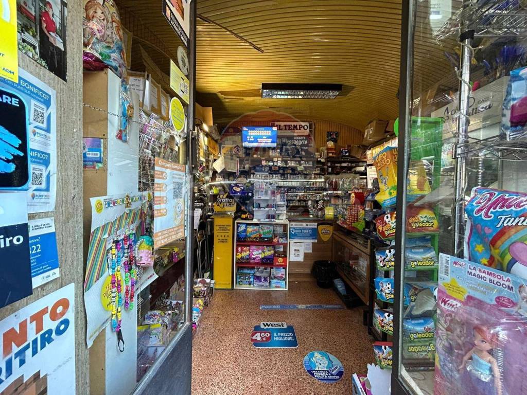 immagine annuncio 11 di 12