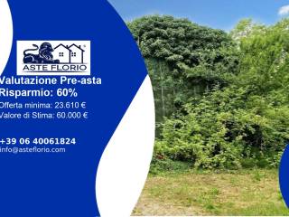 Appartamento all'asta a boara pisani via roma, 33