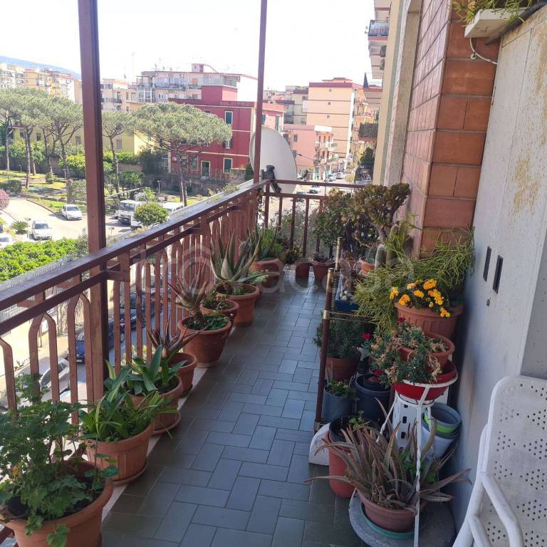 immagine annuncio 5 di 14