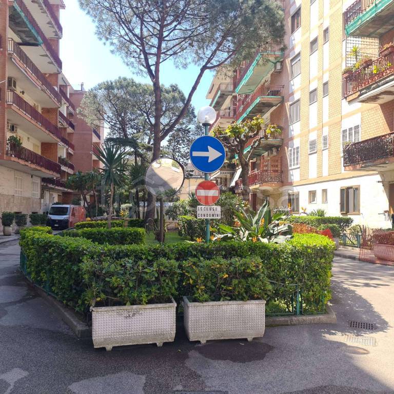 immagine annuncio 12 di 14