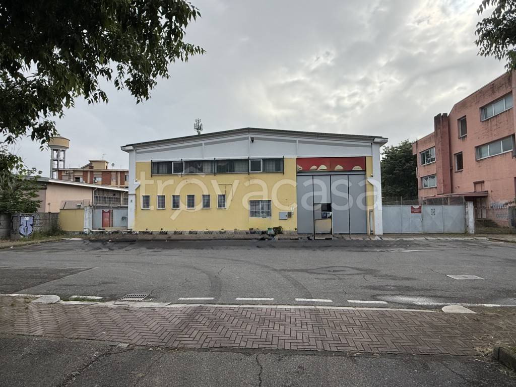 immagine annuncio 3 di 15