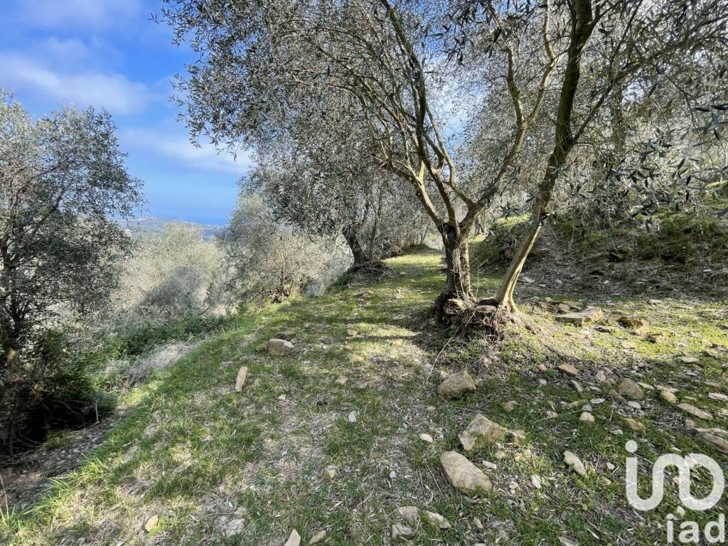 immagine annuncio 1 di 6