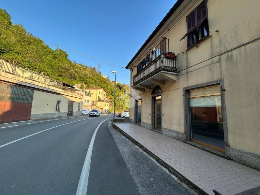 immagine annuncio 11 di 14