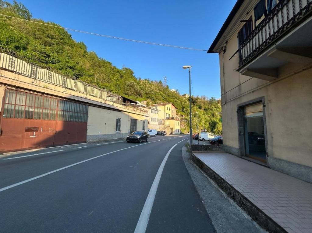 immagine annuncio 12 di 14