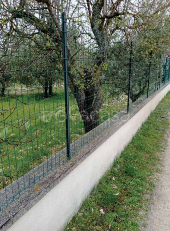 immagine annuncio 3 di 11