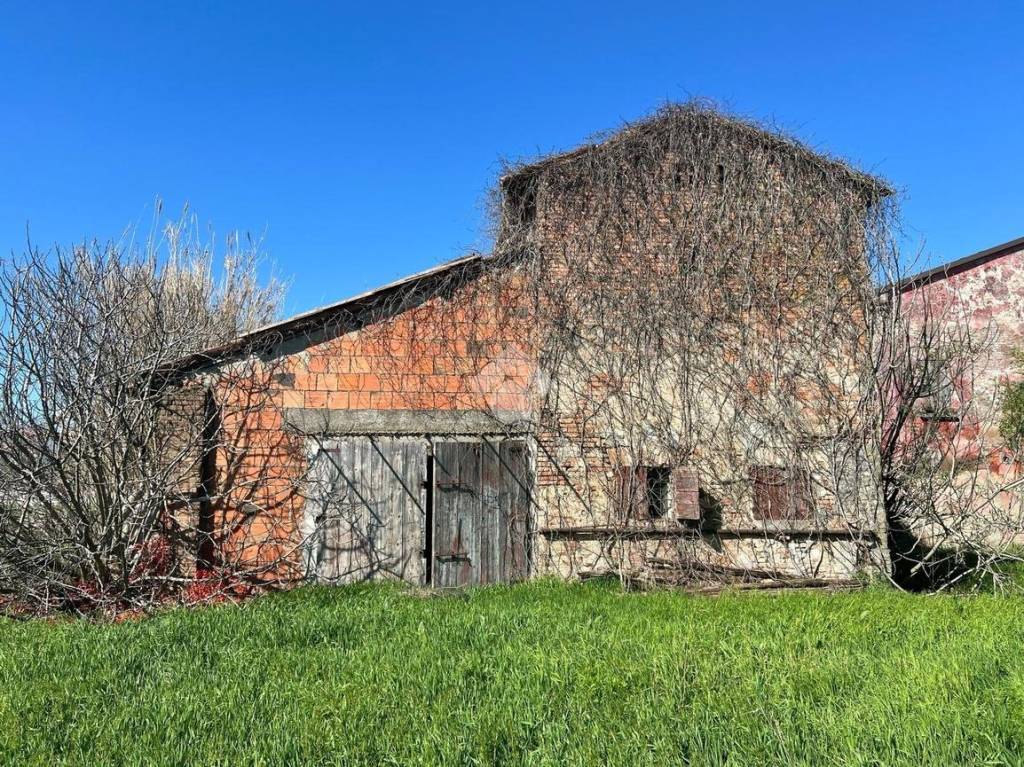immagine annuncio 5 di 9