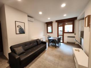 Appartamento in affitto a bologna 