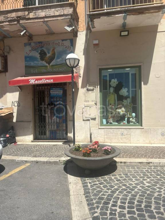 immagine annuncio 4 di 8