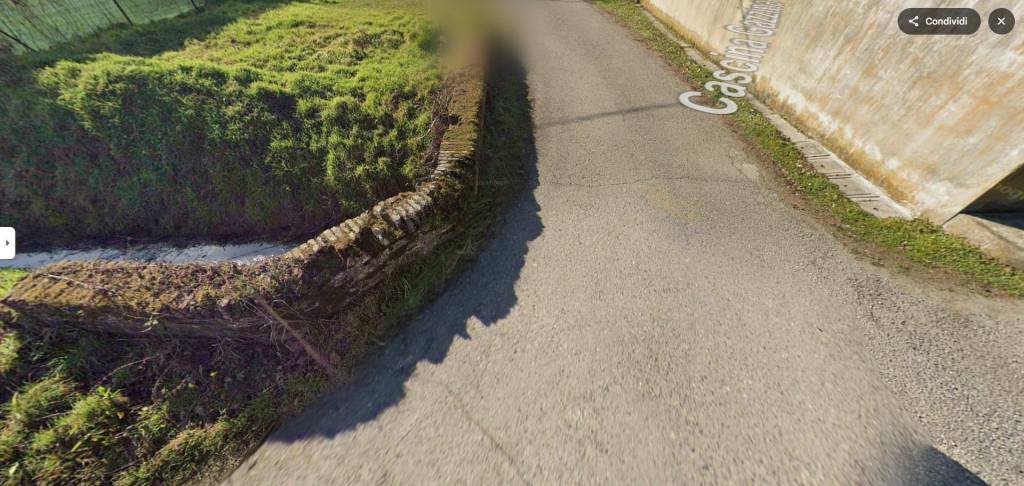immagine annuncio 7 di 11