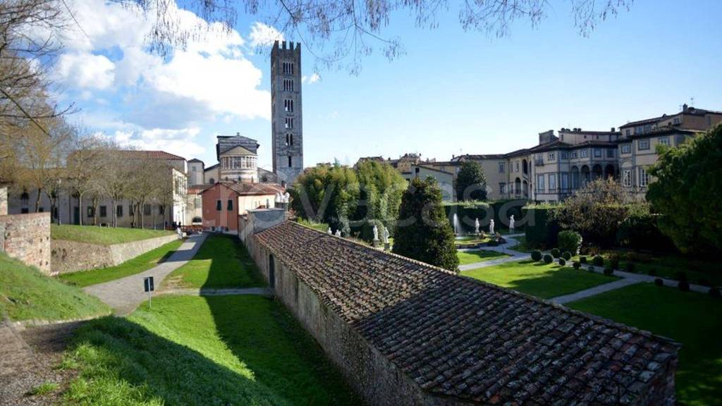 immagine annuncio 4 di 6