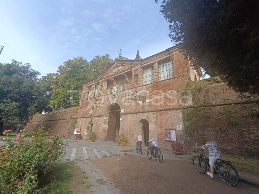 immagine annuncio 5 di 6